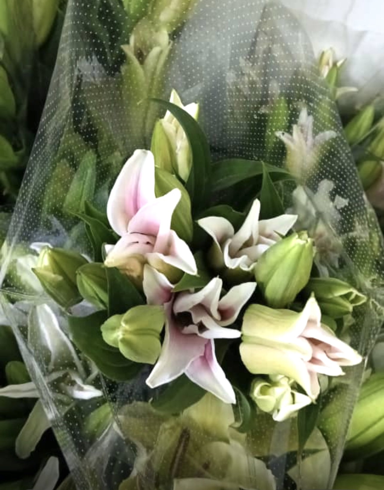 LILIES PAPER WRAP_2