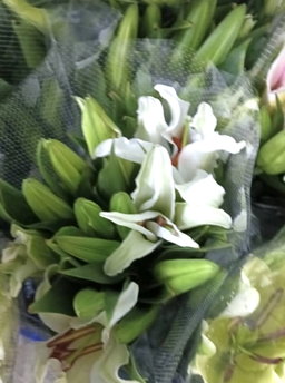 LILIES PAPER WRAP