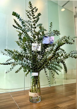 VASE ARRANGEMENT