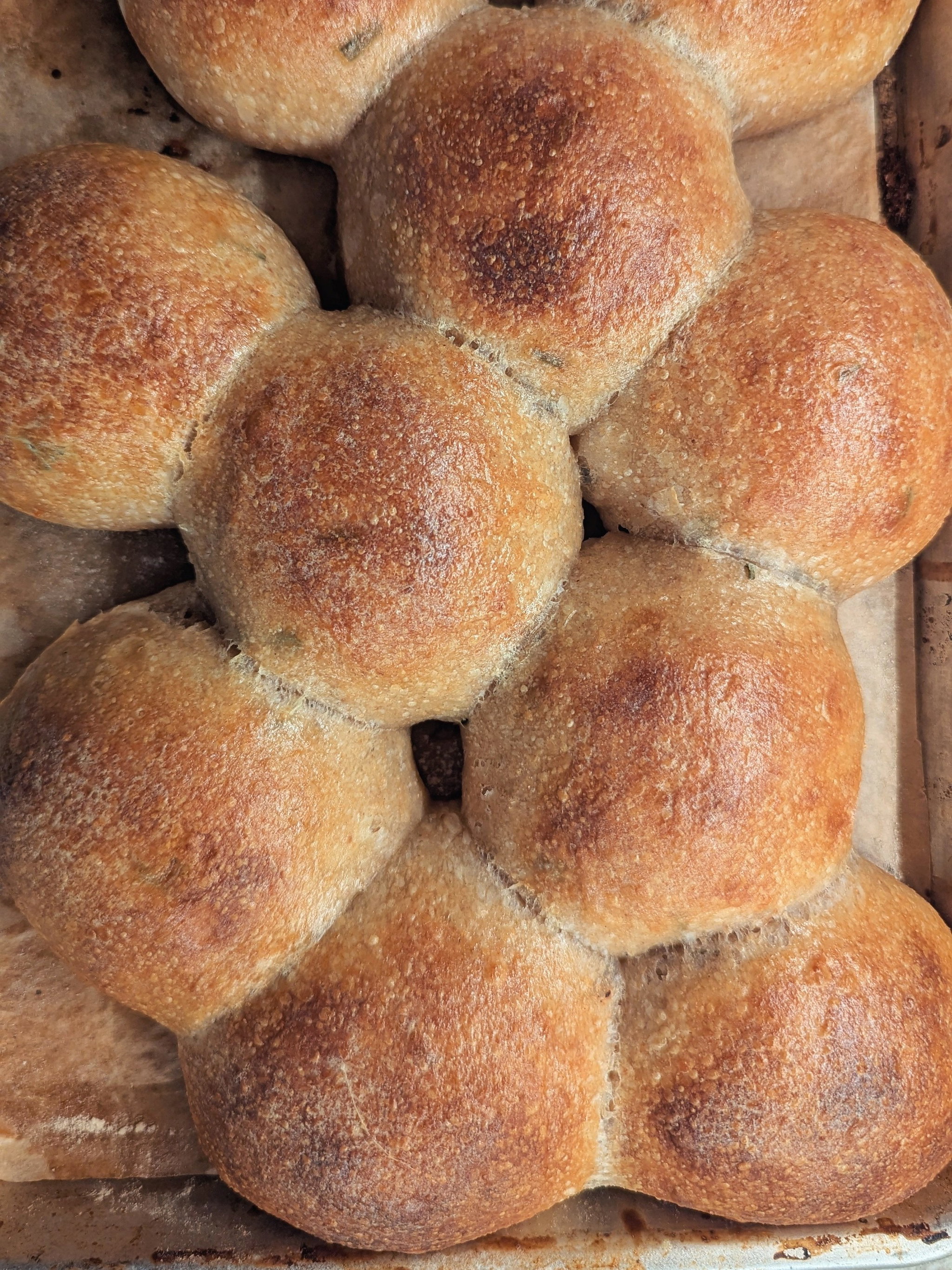 ROSE Sourdough Rosemary Dinner Rolls (set of 2)_0