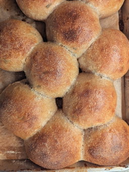 ROSE Sourdough Rosemary Dinner Rolls (set of 2)