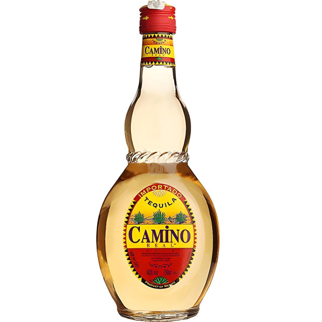 CAMINO GOLD