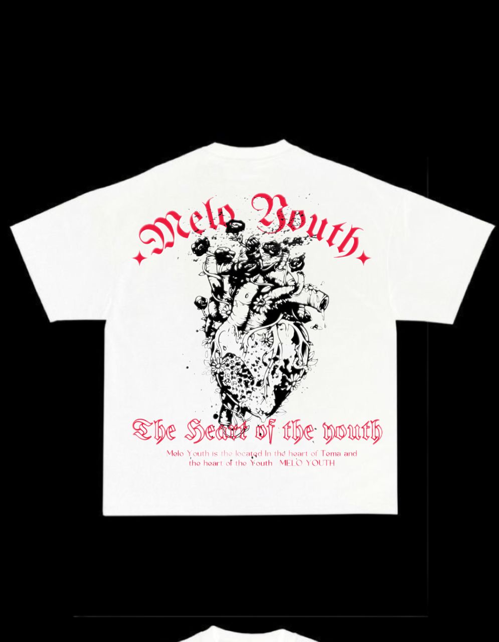 Heart of the youth _0