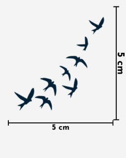 Birds