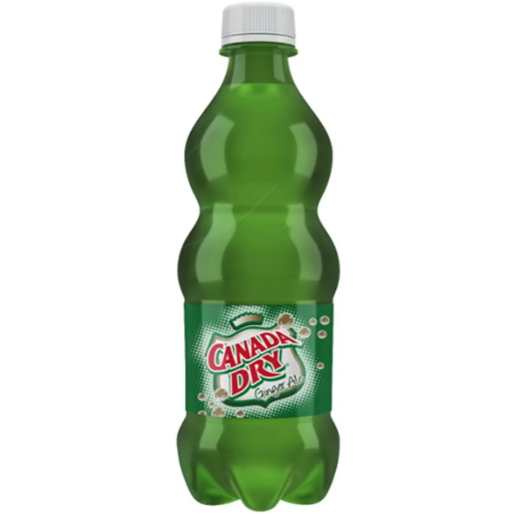 Canada Dry Ginger Ale 600ml_0