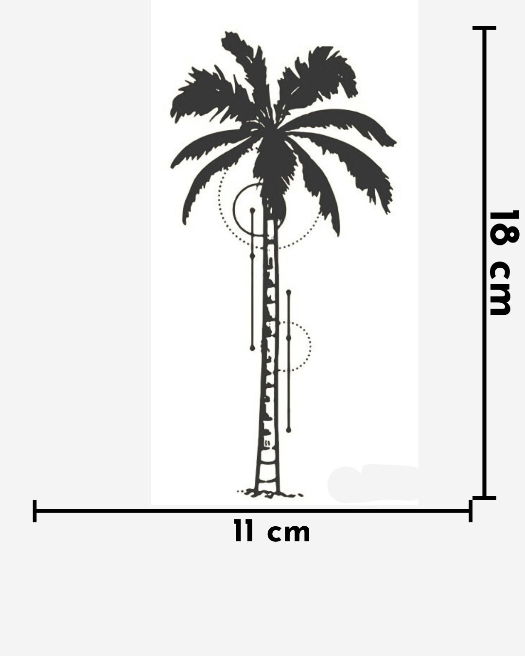 Palma Códica_0