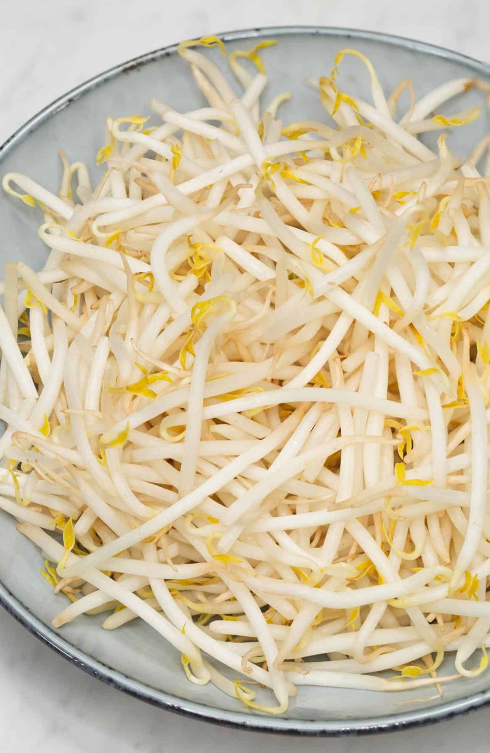 សណ្ដែកបណ្ដុះ_0