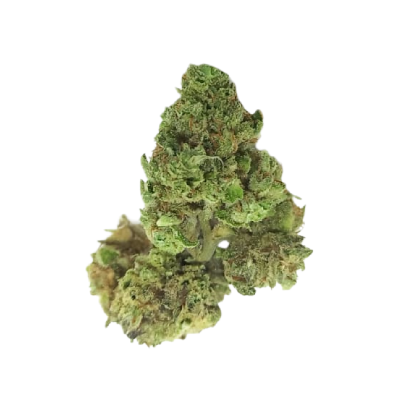 Durban Poison Popcorn Buds_0