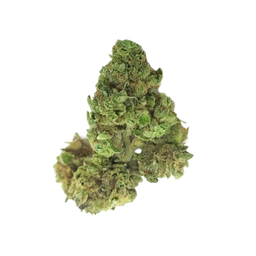 Durban Poison Popcorn Buds