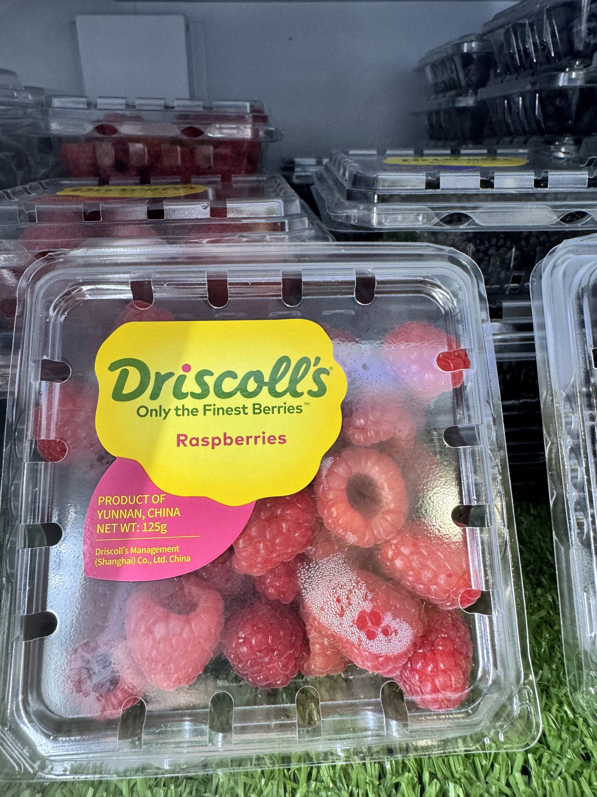 China Driscoll’s Raspberry _0