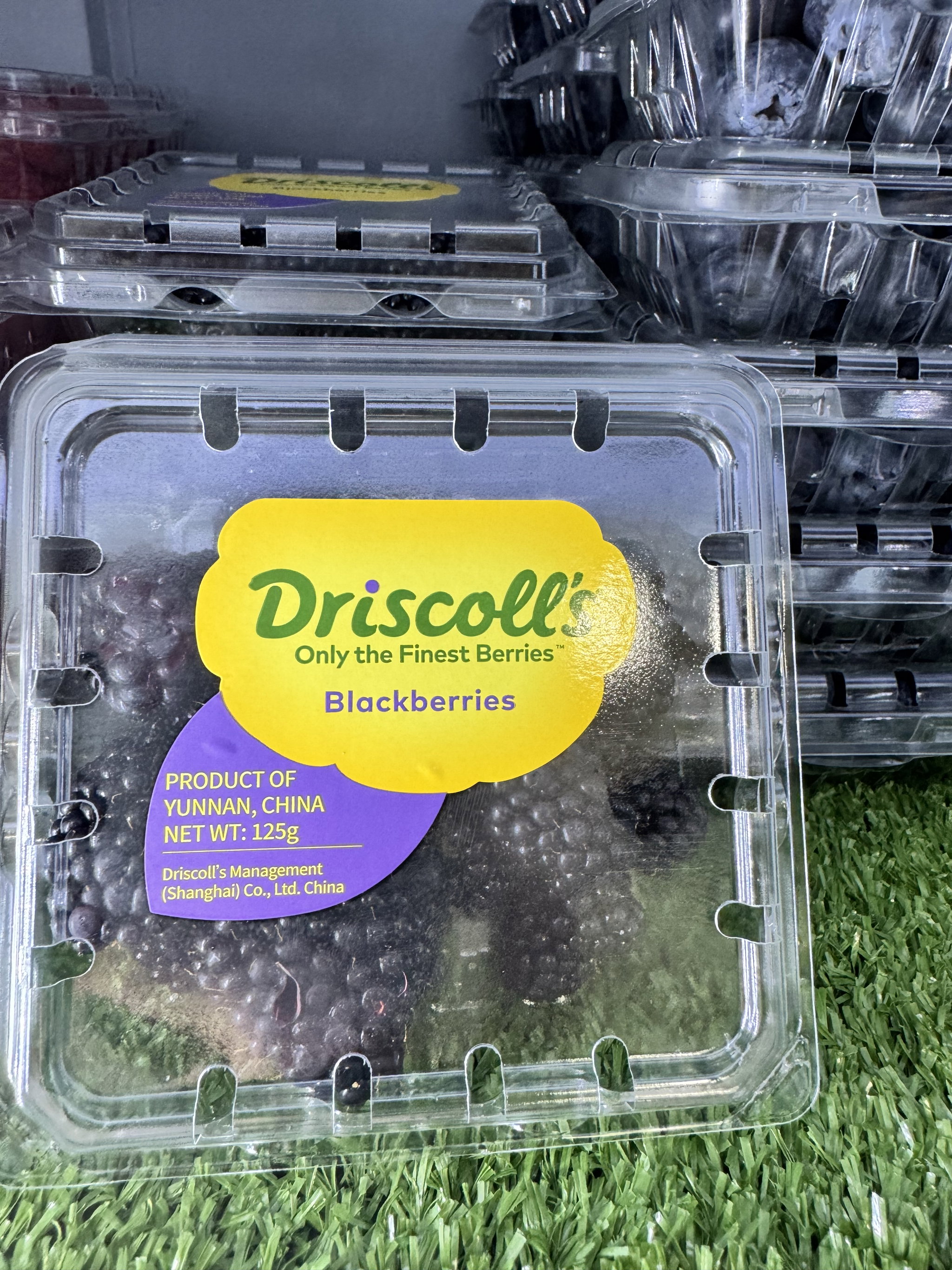 China Driscoll’s Blackberry _0