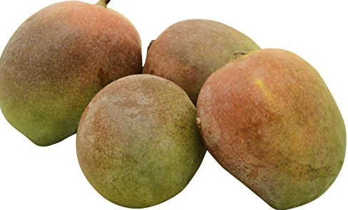 Kalapadi