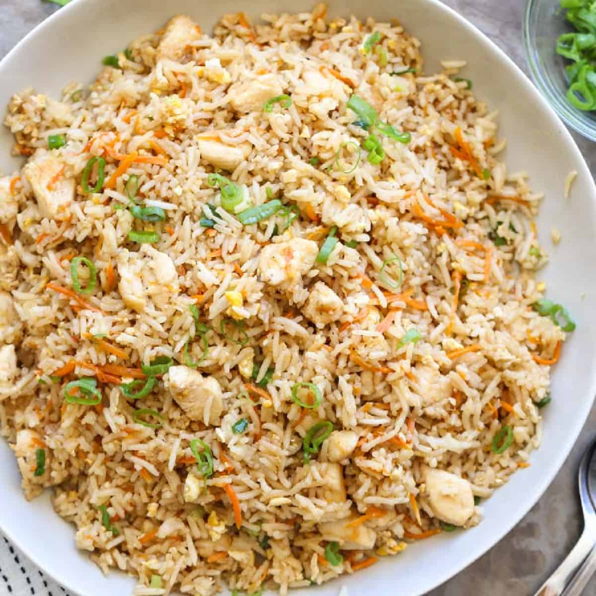 CHICKEN FRIED RICE ( FULL )_0