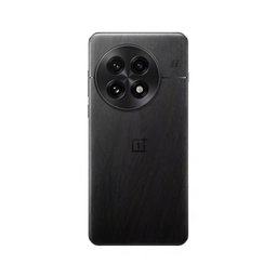 One plus 13