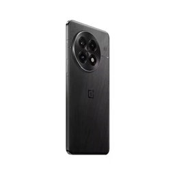 One plus 13