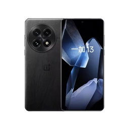 One plus 13