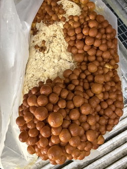 Nameko per 250 grams 