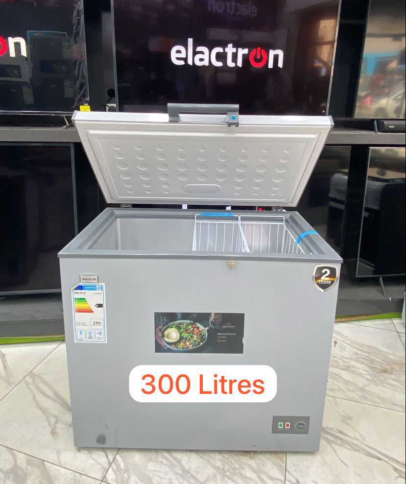 Congélateur Elactron 300L A+