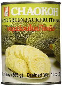 Chef's Choice Jackfruit in syrup 565 G