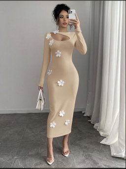 Robe chic