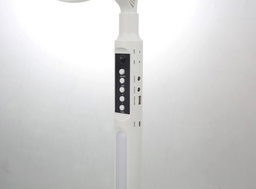Electric cross V 12DC fan