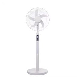 Electric cross V 12DC fan
