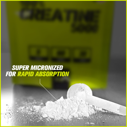 VITAXTRONG™ Creatine Monohydrate (550g) | Super Micronized Powder • Muscle Strength & Recovery • Halal [VX]