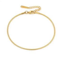 Aurora anklet