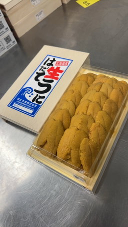 300g '羽立 Hadate' Murasaki Uni