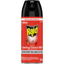 Raid Crawling Insect 300ml