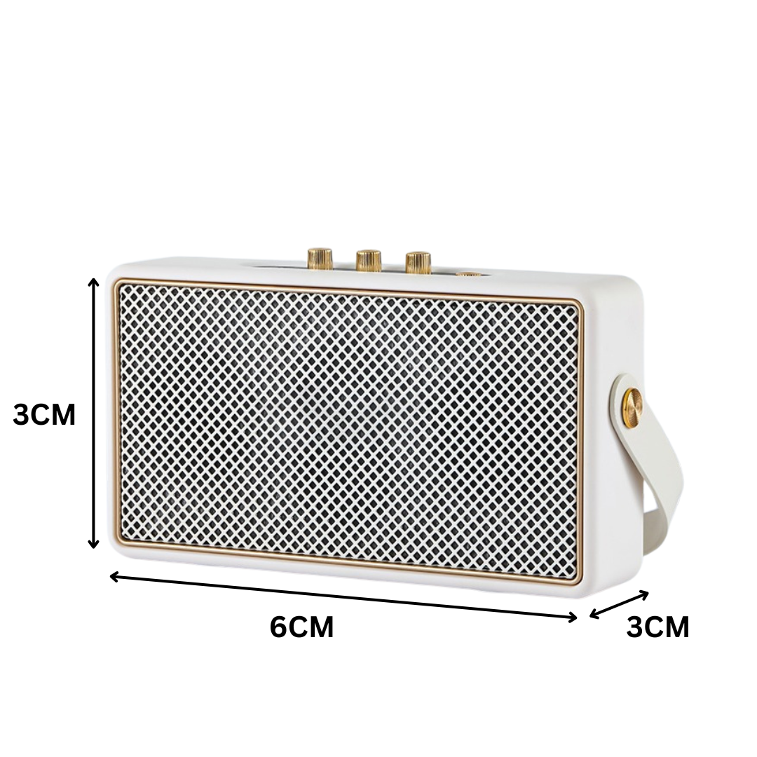 M50K KARAOKE SPEAKER 2 MIC_3