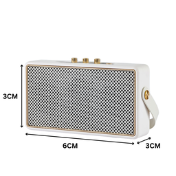 M50K KARAOKE SPEAKER 2 MIC