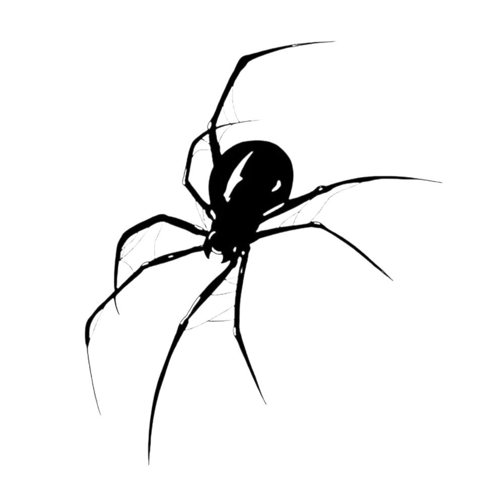 Black Widow | Spider