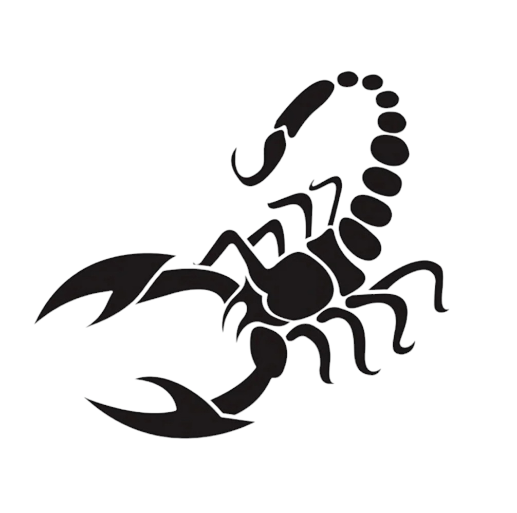 Scorpion Solid_0