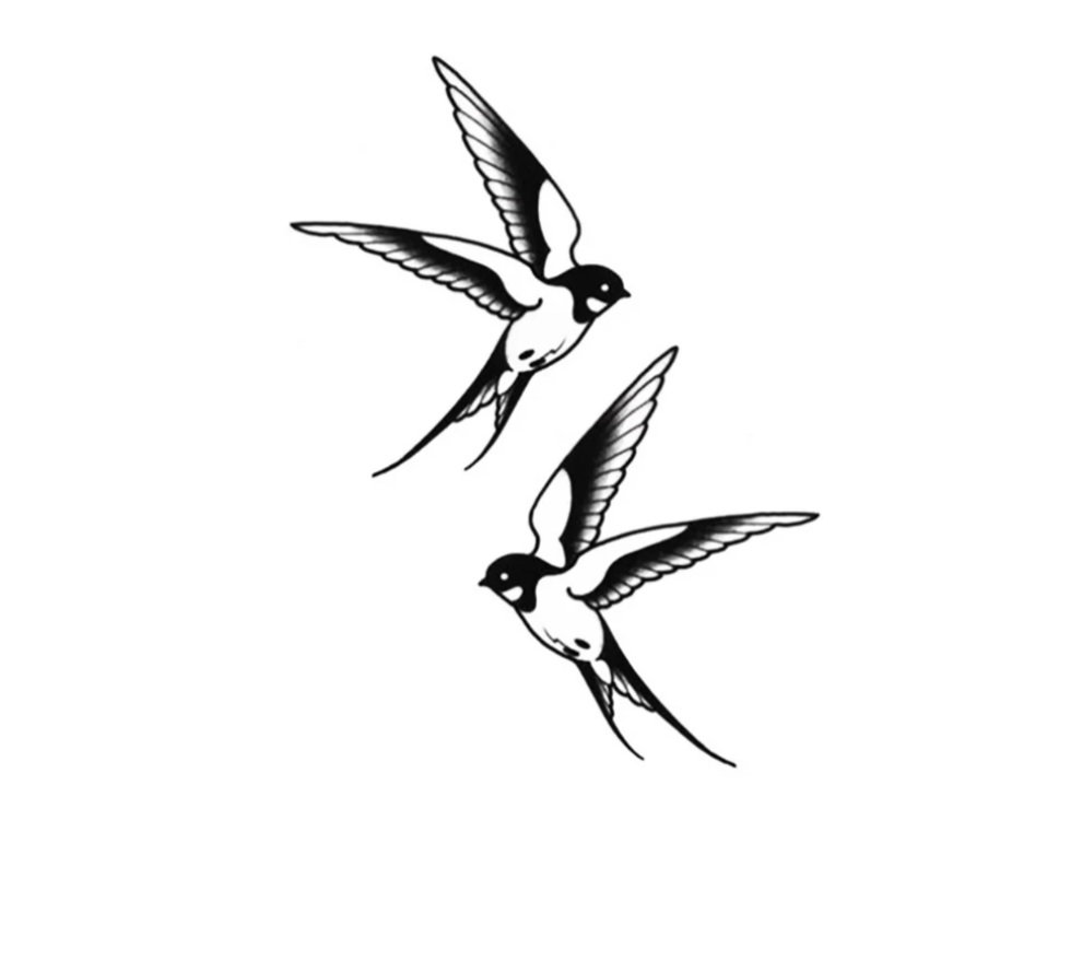 Swallows_0