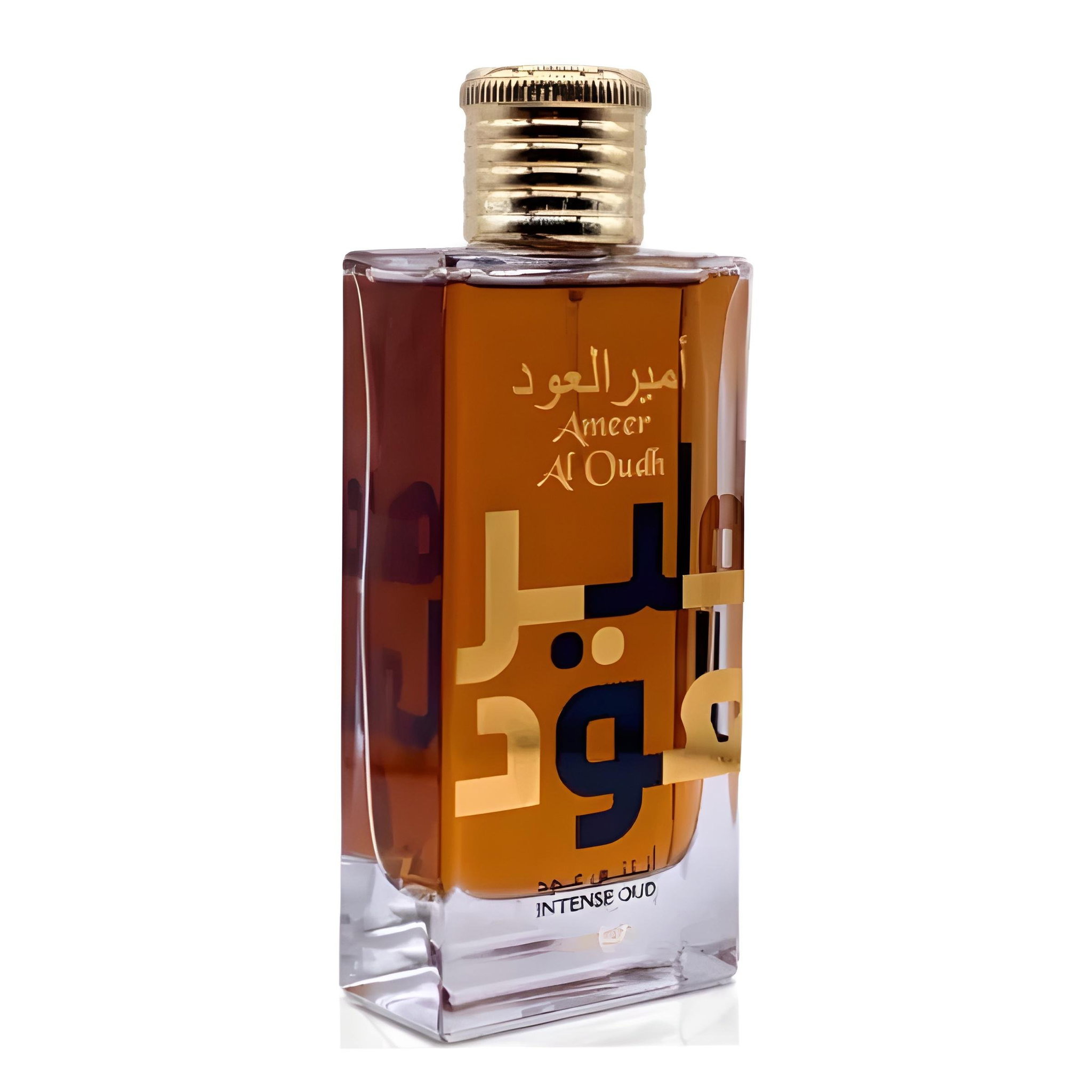 Ameer Al Oudh Intense Oud_0