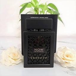Now Noir – Rave