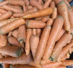 Fresh carrot 500g