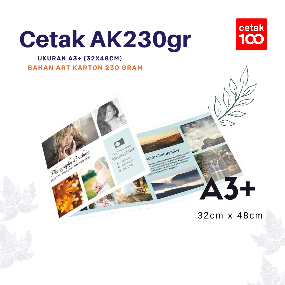 Art Karton 230gsm A3+ 