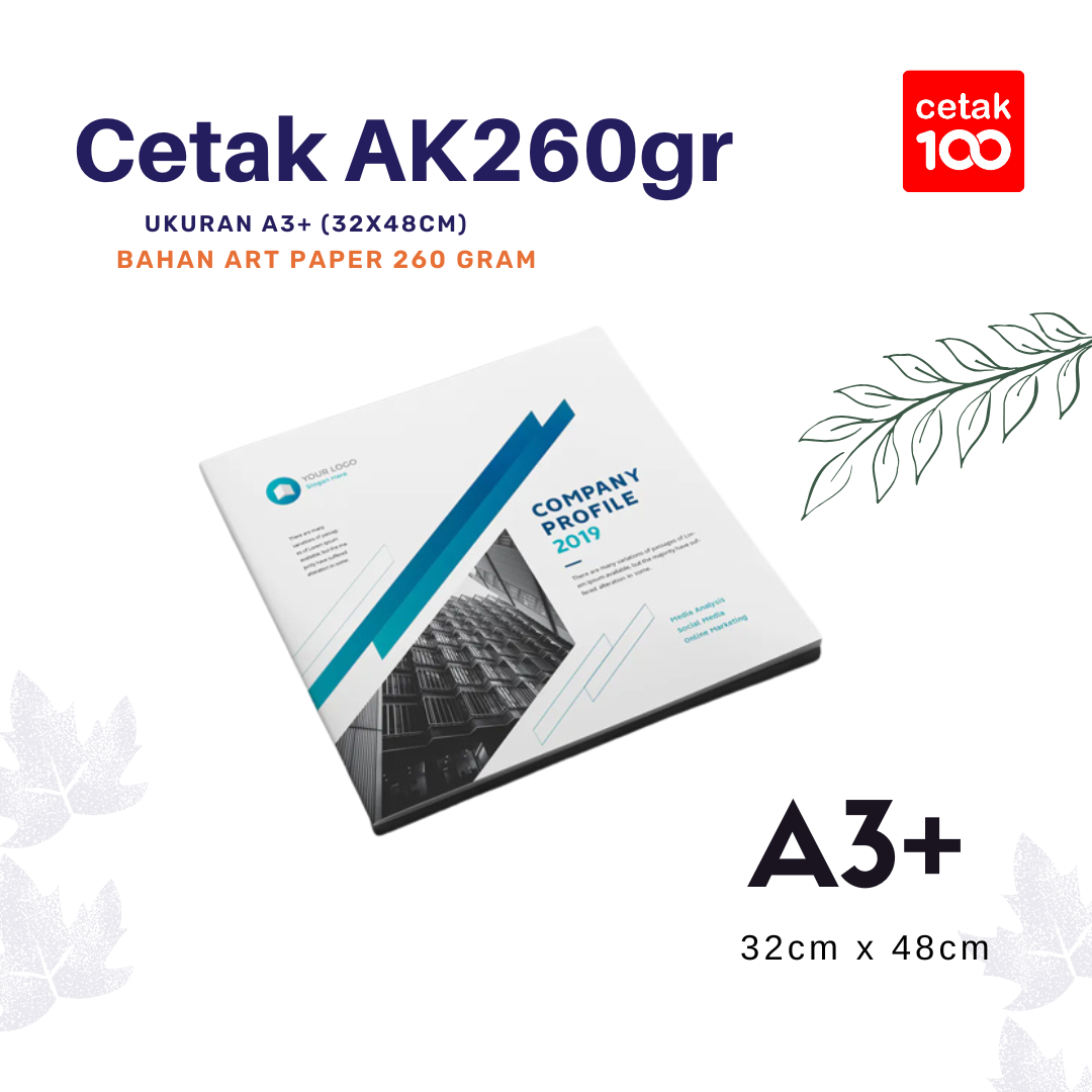 Art Karton 260gram A3+ _0