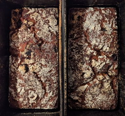 ALWIN German Whole Rye Sourdough with Raisins
