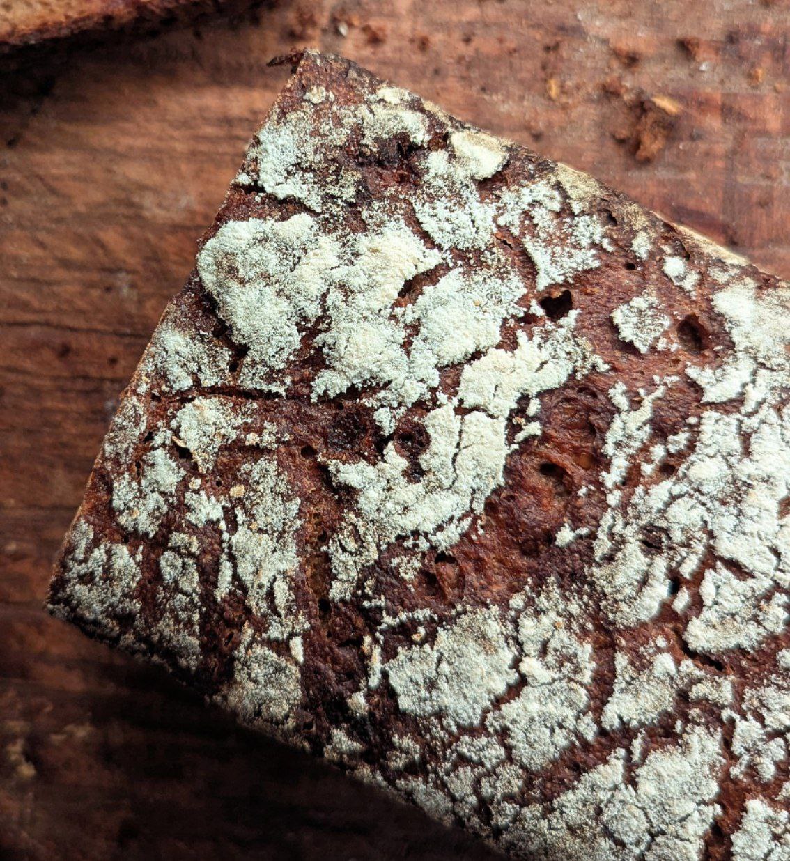 ALWIN German Whole Rye Sourdough with Raisins_2