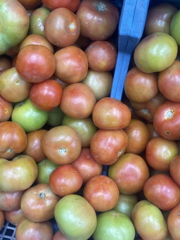 Tomate locale / kg 