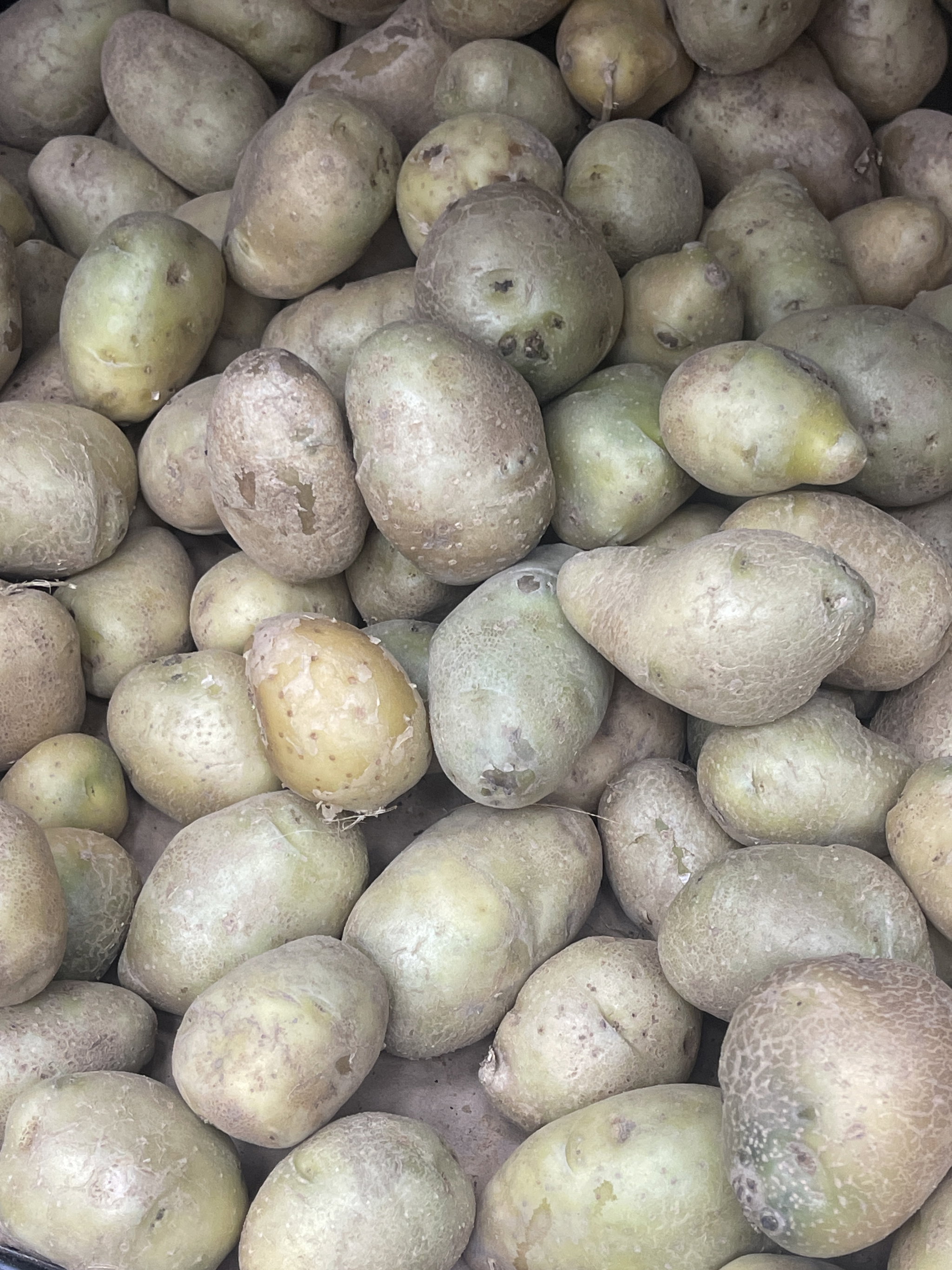 Sweet potatoes importe /kg_0