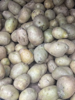 Sweet potatoes importe /kg