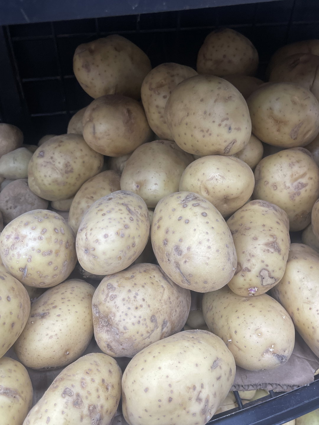 Pomme de terre importe 1kg
