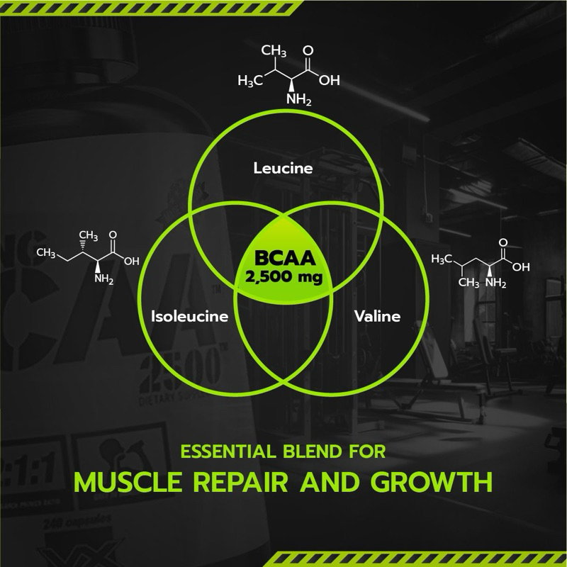 VITAXTRONG Strong BCAA 2500™ (240 / 480 capsules) | Muscle Recovery, Muscle Growth, Reduce Soreness [VX]_7