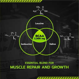 VITAXTRONG Strong BCAA 2500™ (240 / 480 capsules) | Muscle Recovery, Muscle Growth, Reduce Soreness [VX]