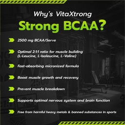 VITAXTRONG Strong BCAA 2500™ (240 / 480 capsules) | Muscle Recovery, Muscle Growth, Reduce Soreness [VX]
