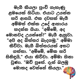 S5 - මැගීගේ බිත්තර බැඳීම